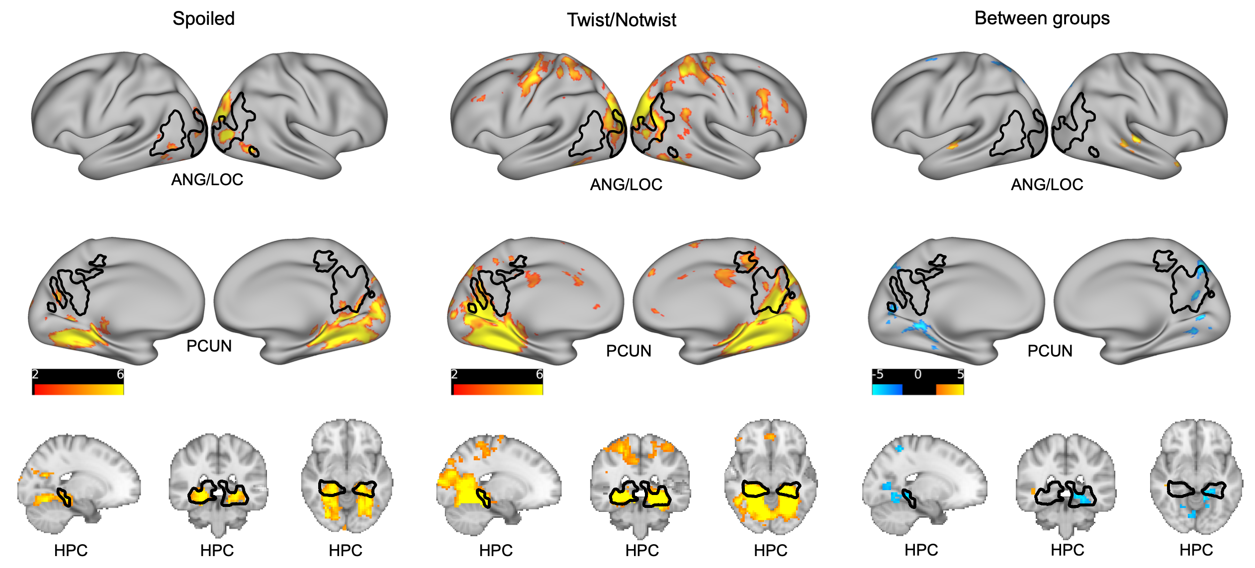 Neural reactivation searchlight results